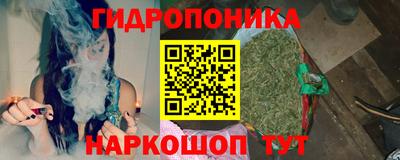 apvp Шелехов